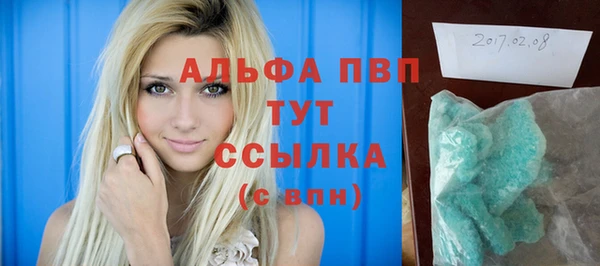 тгк Гусев