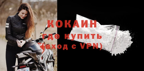 тгк Гусев