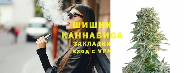 тгк Гусев