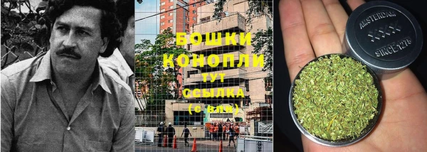 тгк Гусев