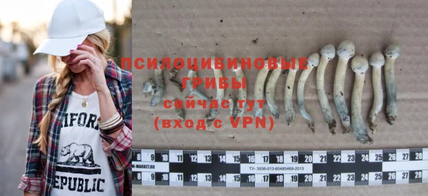 jwh Гусиноозёрск