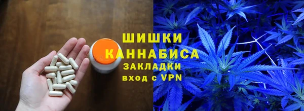 твердый Дмитриев