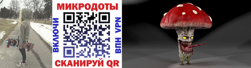 Купить где  Кондопога  Псилоцибиновые грибы Cubensis 